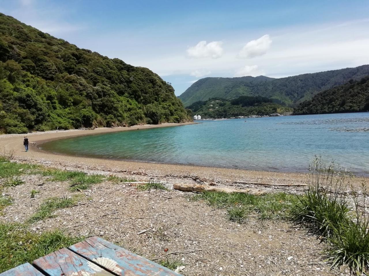 Glengary B&B Picton Zewnętrze zdjęcie
